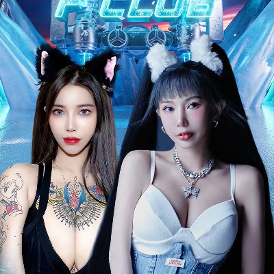 开车的音乐视频dj