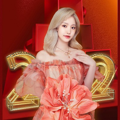 车载dj大雁南飞王馨